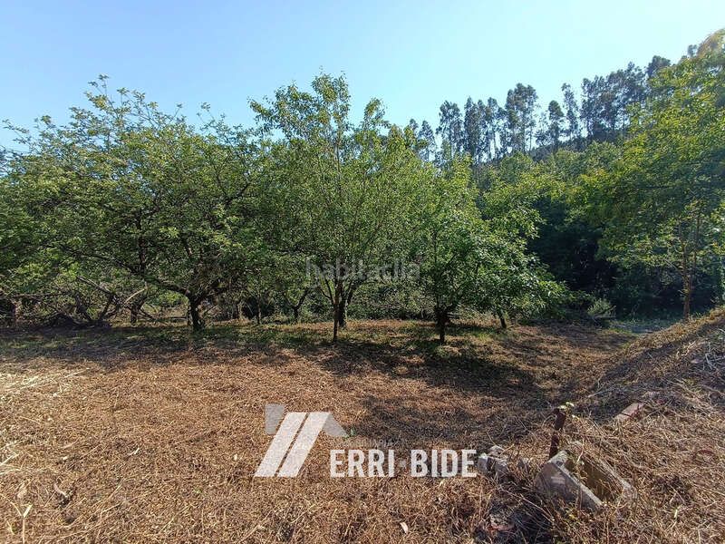 Foto 44e7083d-b390-42d6-a55c-7e95d8c52922. Finca rústica a Maruri - Jatabe