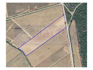 Terreny residencial a Manjarrés. Fincas de regadío en manjarres