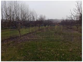 Masia a Bobadilla. Finca rustica  venta bobadilla