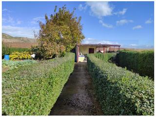 Masia a Hormilla. Finca rustica  venta hormilla