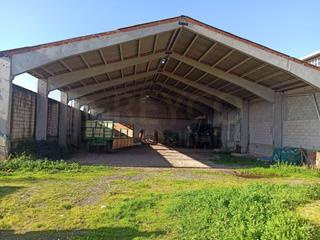 Nau industrial a Tricio. Pabellón venta tricio