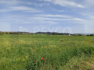 Terreny residencial a Alesanco. Terreno venta alesanco