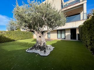 Pis a Cirueña. Piso en cirueña (la rioja)