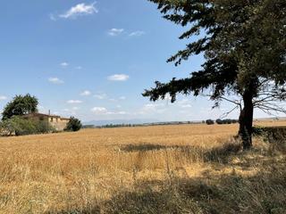 Landgut  Calle rincón