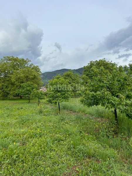 Foto 85fa03d5-f4b2-4466-a062-91b499687edd. Terreny residencial a Estollo