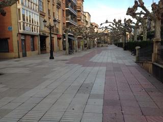 Local Comercial  Avenida juan carlos i