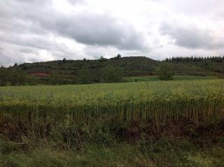 Rural plot in Santurdejo