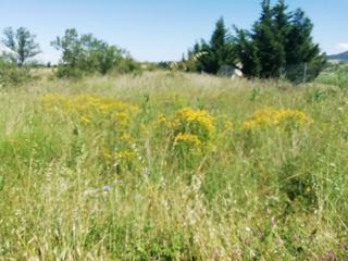 Rural plot in Santo Domingo de la Calzada