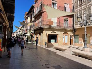 Pis a Calle pinar 48