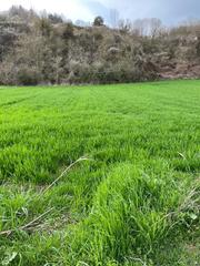 Rural plot  Avenida navarra