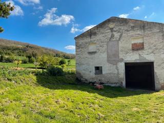 Local commercial à Blanco morales-crgraño 24