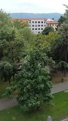 Etagenwohnung in Centro. Piso amplio en el centro