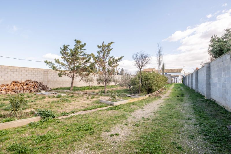 Foto 3eee1cbb-f406-446b-9fc6-d1aa0345eab9. Masia amb aparcament a San Gregorio Zaragoza