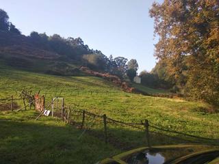 Finca rústica a Plentzia. Terreno rural
