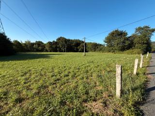 Rural plot in Igartua auzoa 2