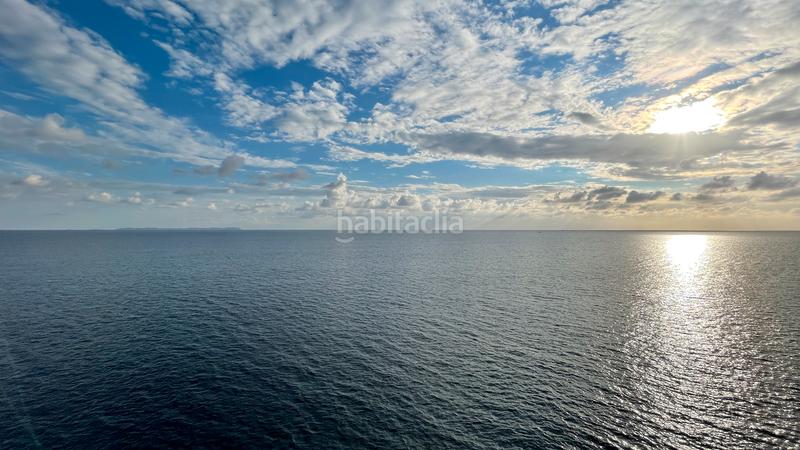 Foto f57ee530-2120-4fe7-9ced-3757faebb71c. Fondo rustico in Cala Pi-Vallgornera Llucmajor