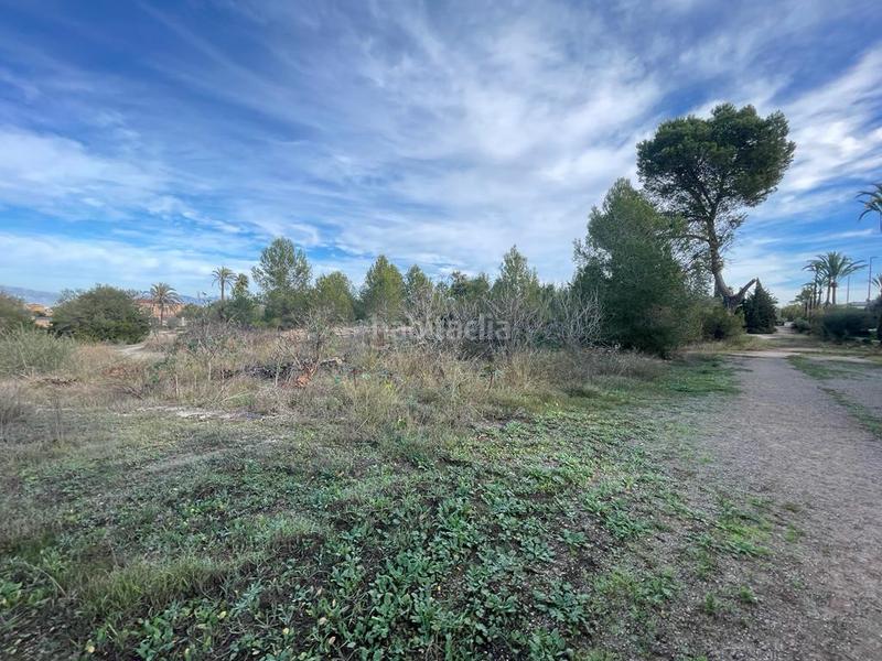 Foto 13b2eb1f-4c84-4b62-87e2-b7a0fab6d638. Fondo rustico in Ses Palmeres Llucmajor