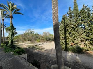 Finca rústica a Ses Palmeres. Solar de uso deportivo en ses palmeres