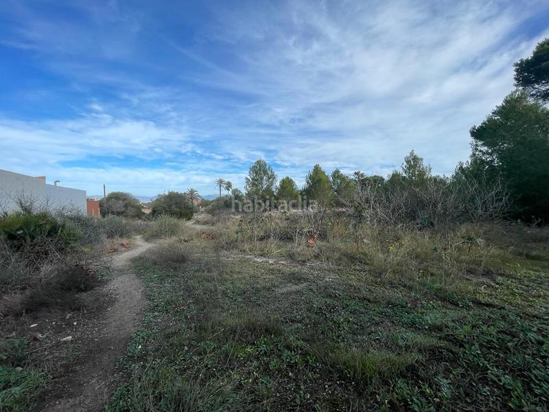 Foto cb62d11e-89ca-497d-8a00-882534f0c4d2. Fondo rustico in Ses Palmeres Llucmajor