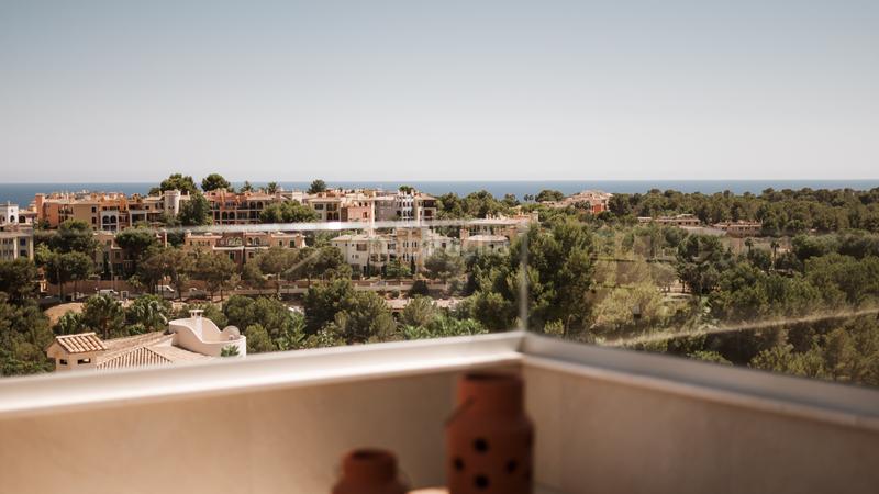 Foto 3806494d-042c-455f-bdfe-1e2b187a2a9b. Affitto chalet con piscina in Cas Català-Illetes Calvià