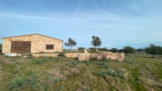 Mas à Maria de la Salut. Extensa finca con casa en maria de la salut