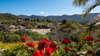 Masia a Calvià Poble. Preciosa finca con vistas panorámicas en calviá pueblo.