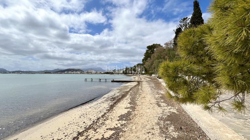 Foto b71cdf1c-97d9-4c3e-9302-e71cd09cace3. Location appartement dans port de Pollença Pollença