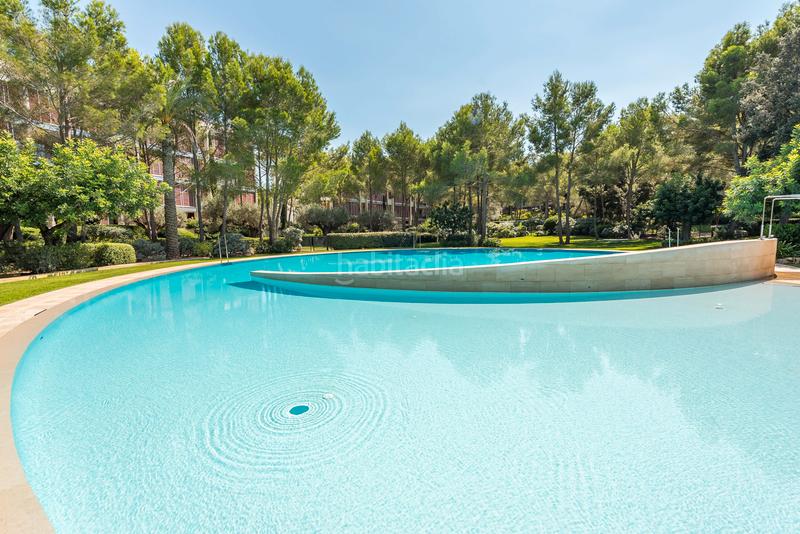 Foto 7f4bac61-7b7a-4198-ad02-cf7bdeb4d4d2. Affitto attico in Portals Nous Calvià