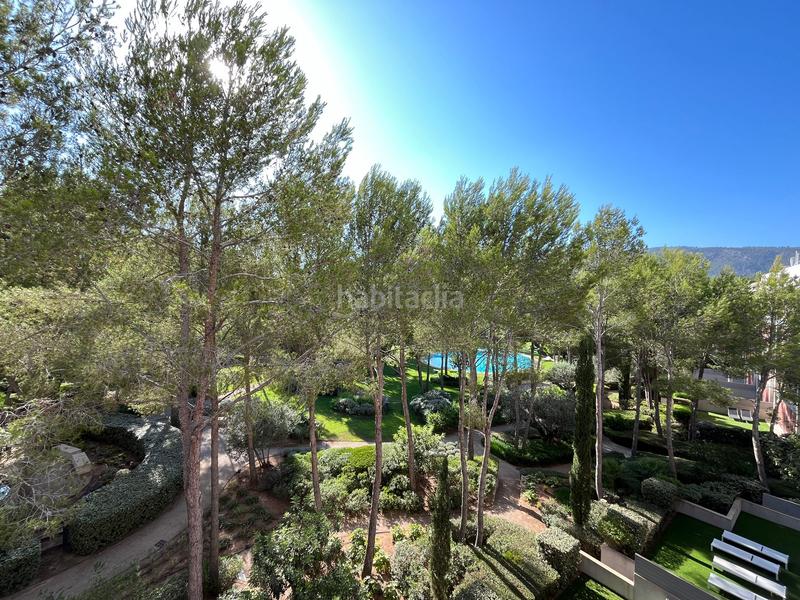 Foto 19503dff-92e2-4a93-8512-d0156d851452. Rent penthouse in Portals Nous Calvià