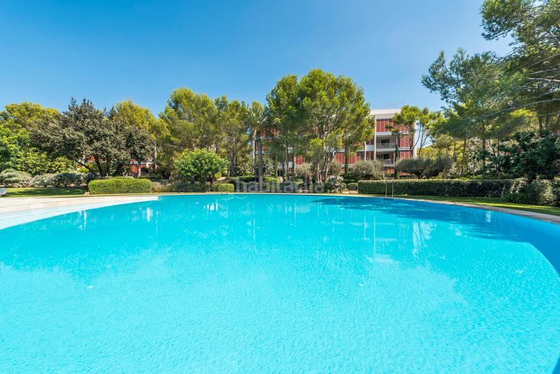 Foto 63784b7a-74a3-453c-a82b-b62939a7c755. Rent penthouse in Portals Nous Calvià