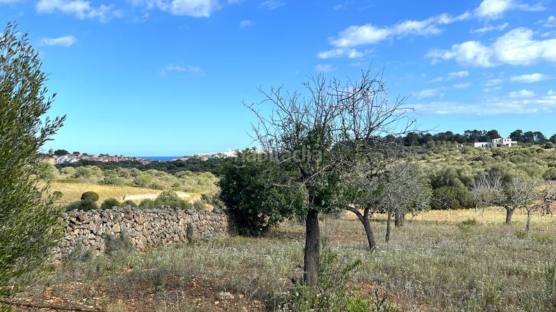 Foto 9a68feba-5d63-4356-9e2b-9b8d1b7ed7a7. Finca rústica a Cala Magrana-Cala Anguila-Cala Mendia Manacor