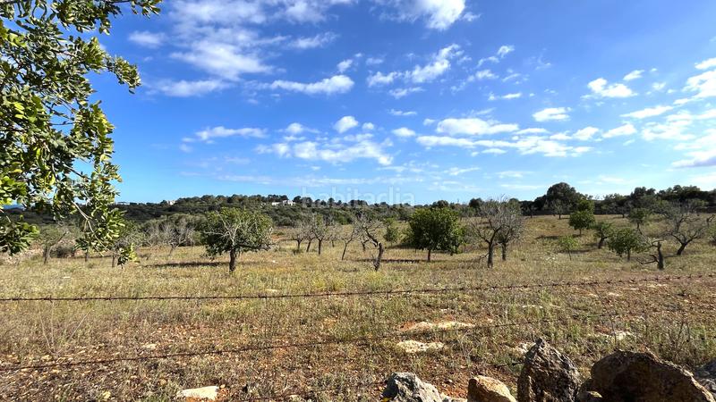 Foto a014f1e9-6980-4725-8f6d-658df847ba9b. Finca rústica a Cala Magrana-Cala Anguila-Cala Mendia Manacor