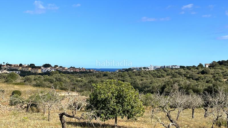 Foto d4fc6334-92d5-4162-ab03-db5c269876ea. Finca rústica a Cala Magrana-Cala Anguila-Cala Mendia Manacor