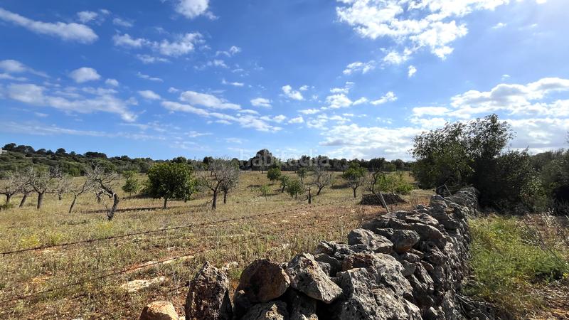 Foto f3d26a46-049f-41ec-bf8b-a6104c0a3fd2. Finca rústica a Cala Magrana-Cala Anguila-Cala Mendia Manacor