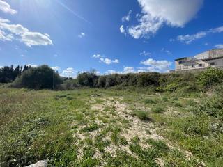 Rural plot in Santa Margalida Poble. Solar urbano en santa margalida