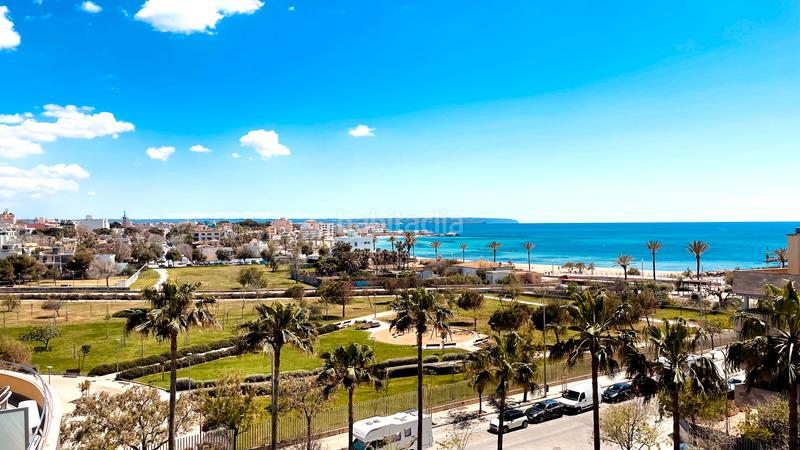 Foto a0bc856d-8fd8-4f87-8feb-934615a1968a. Miete dachwohnung mit pool in Es Portixol-Es Molinar Palma de Mallorca