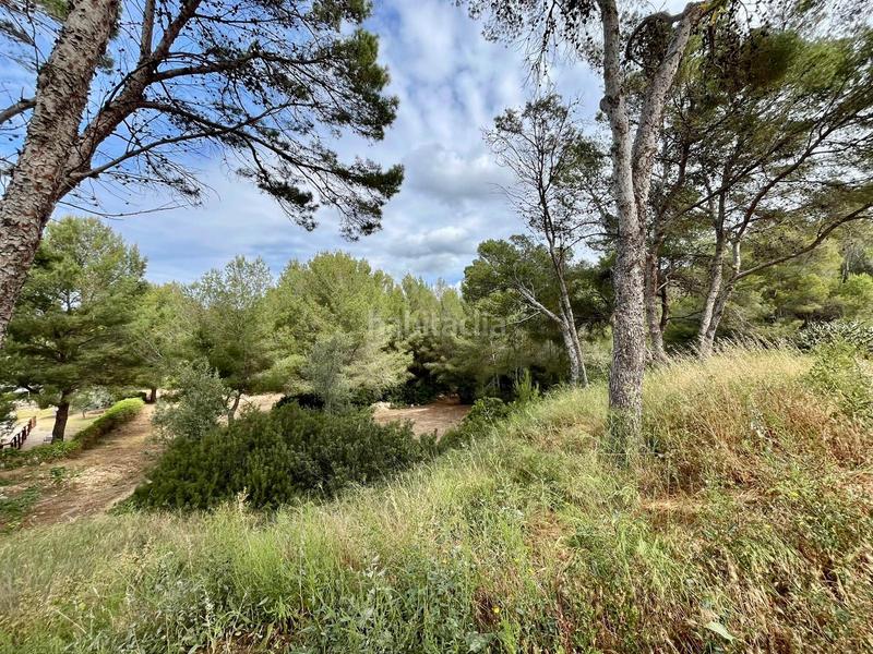 Foto 182f4c4a-fe3c-41aa-b227-1d8951db116e. Planta baixa amb piscina a Costa de la Calma Calvià