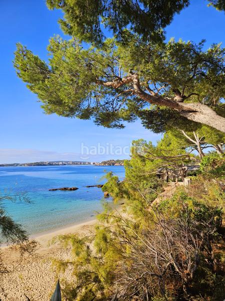 Foto 5e6ac5b4-d790-4d8e-97e1-57639296678d. Alquiler apartamento en Portals Nous Calvià