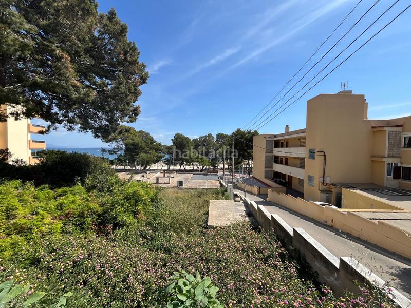 Foto 49d5a60f-bc0a-49e2-8af4-7a4b9d1f2883. Location appartement dans Palmanova Calvià