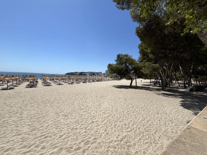 Foto f2dd35b9-b7ee-4c98-9a72-47f095118341. Miete appartement in Palmanova Calvià