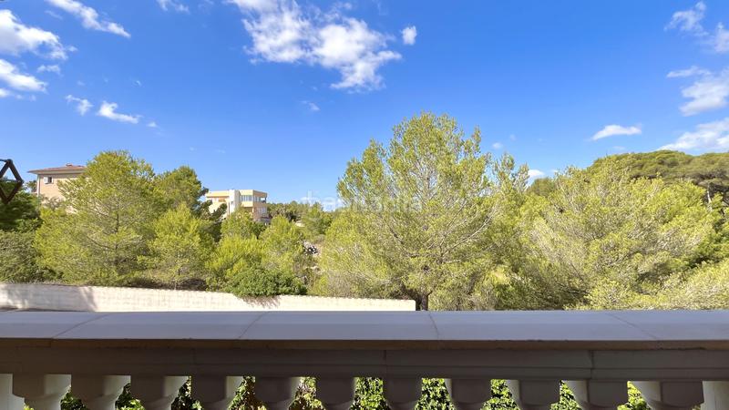 Foto c76e27df-857d-482c-9bd8-984a9882c561. Affitto chalet con piscina in Can Picafort Santa Margalida