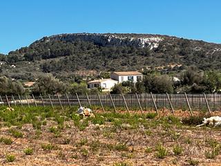 Finca rústica a S´Horta - Cas Concos des Cavaller - Es Carritxó. Parcela rústica bajo la colina de hamburgo con antiguo proyecto