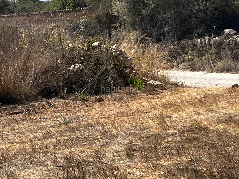 Foto 0a79ee27-29db-4553-b11a-4e47eff24136. Finca rústica a S´Horta - Cas Concos des Cavaller - Es Carritxó Felanitx