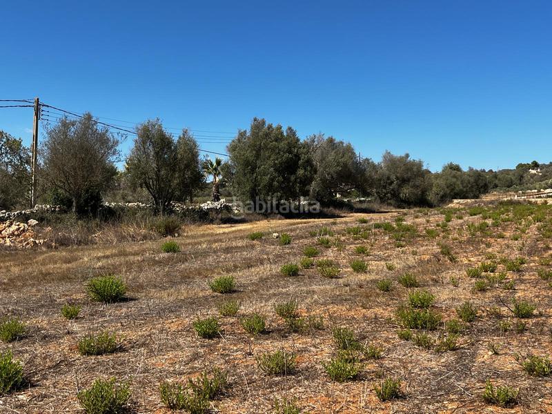 Foto 0d5c2372-afbe-4cf7-a2d1-052e79c17009. Finca rústica a S´Horta - Cas Concos des Cavaller - Es Carritxó Felanitx
