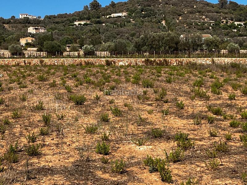Foto 0d87e863-dea3-4666-811c-f63b0ae397a9. Finca rústica a S´Horta - Cas Concos des Cavaller - Es Carritxó Felanitx