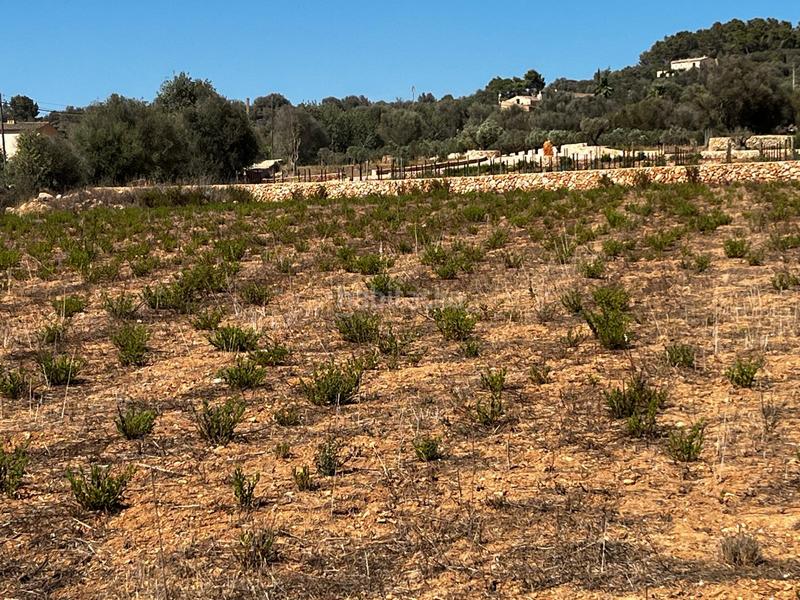 Foto 5dfc52e6-a589-4fbd-b184-23710ae4d680. Finca rústica a S´Horta - Cas Concos des Cavaller - Es Carritxó Felanitx