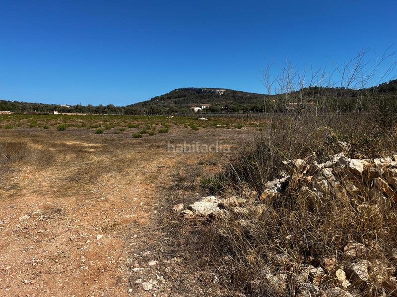 Foto 8cb31cb8-8626-43f4-9be9-c3684d93e552. Finca rústica a S´Horta - Cas Concos des Cavaller - Es Carritxó Felanitx