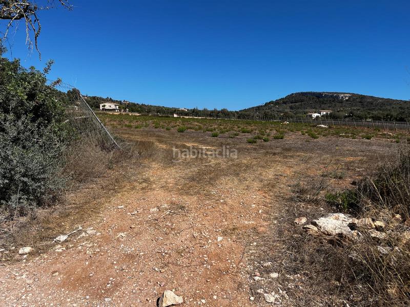 Foto a5362d77-f3b7-4c8b-ac3a-5867169e3e0a. Finca rústica a S´Horta - Cas Concos des Cavaller - Es Carritxó Felanitx