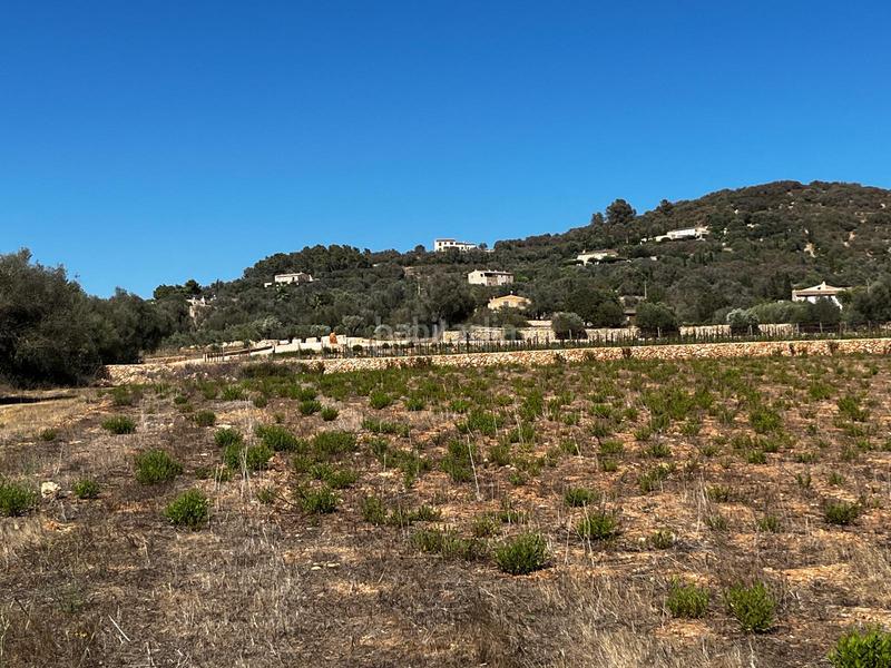 Foto b03142e5-9a67-4721-9e95-483bce37ea28. Finca rústica a S´Horta - Cas Concos des Cavaller - Es Carritxó Felanitx