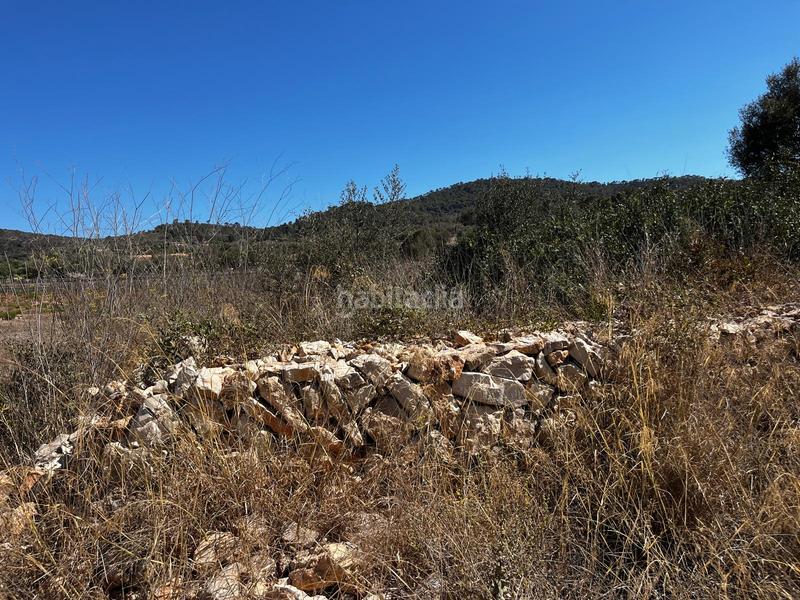 Foto d8b36d3d-7fb4-49a3-bc96-e184e4b8ccef. Finca rústica a S´Horta - Cas Concos des Cavaller - Es Carritxó Felanitx